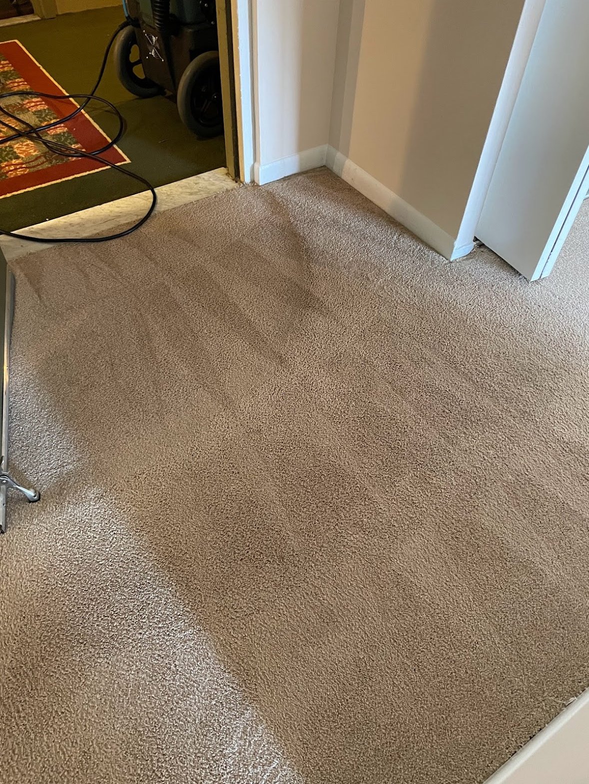 Refreshing Carpet Cleaning Services in Arlington, VA