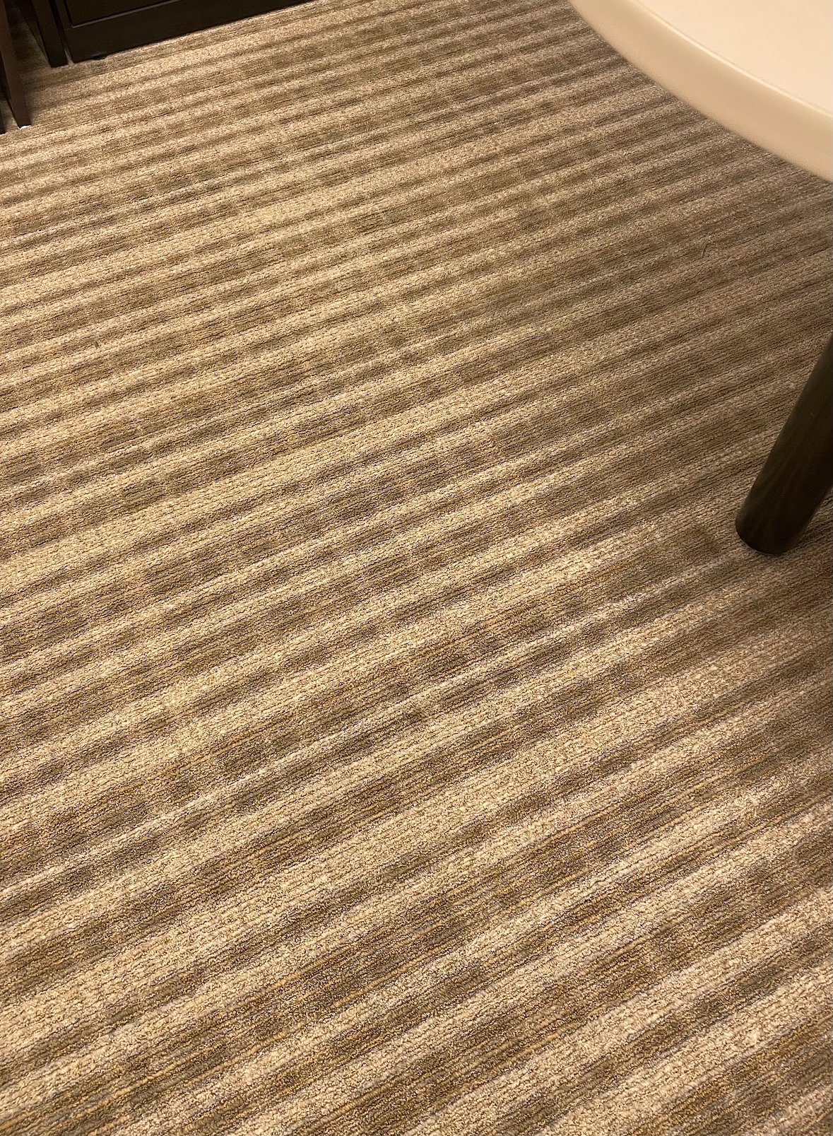 Refreshing Carpet Cleaning Services in Arlington, VA