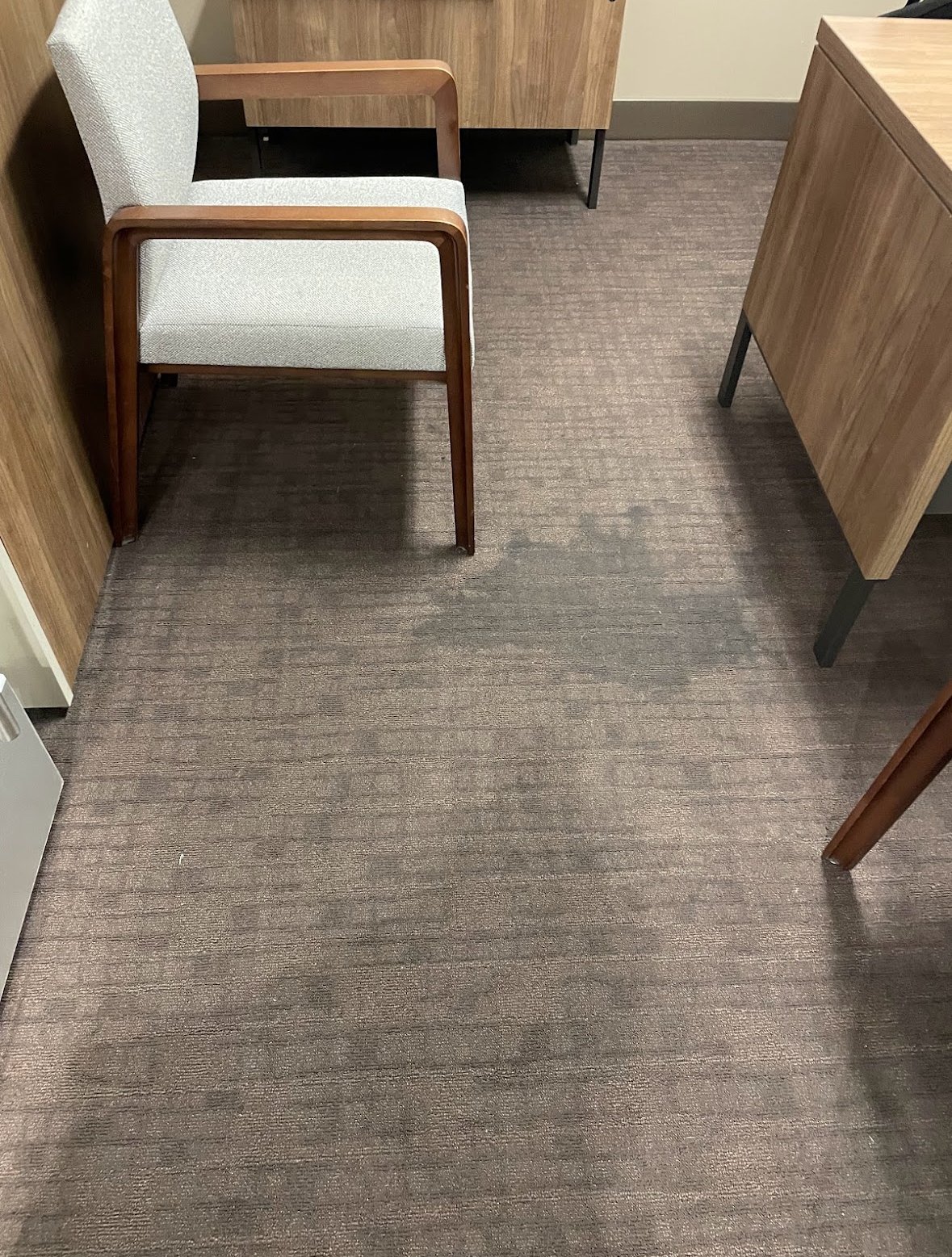 Refreshing Carpet Cleaning Services in Arlington, VA