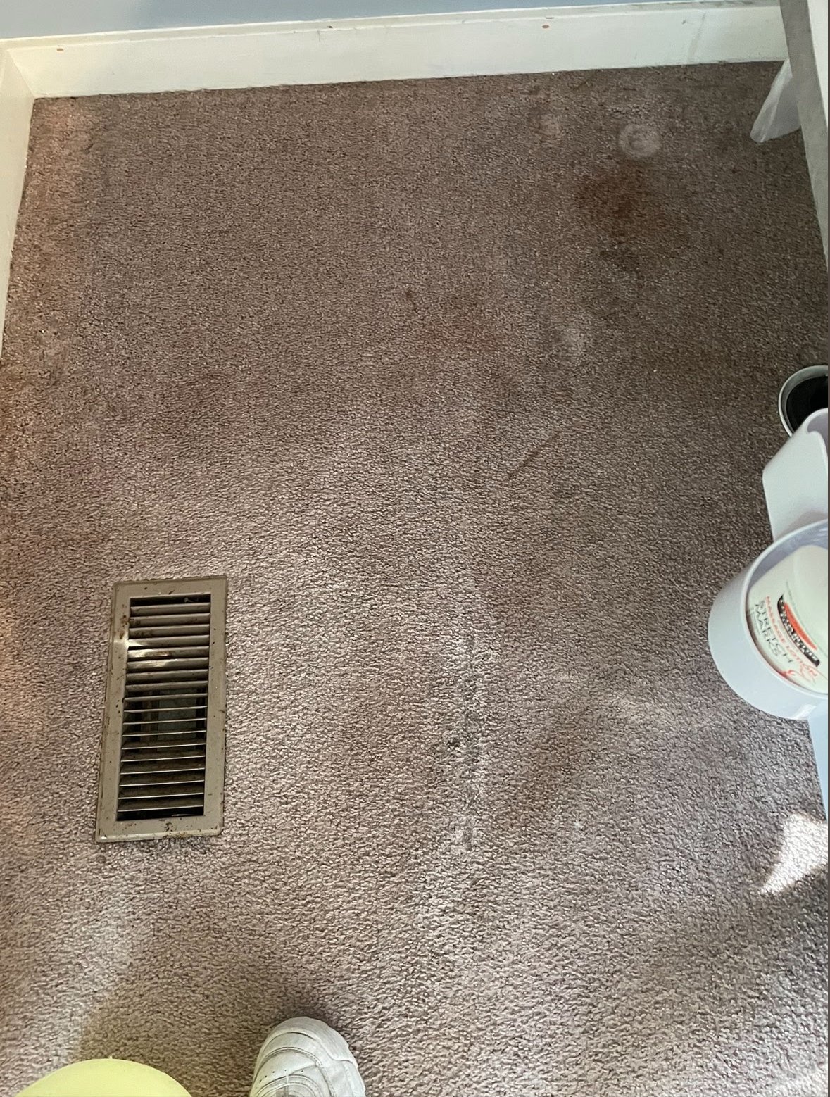 Refreshing Carpet Cleaning Services in Arlington, VA