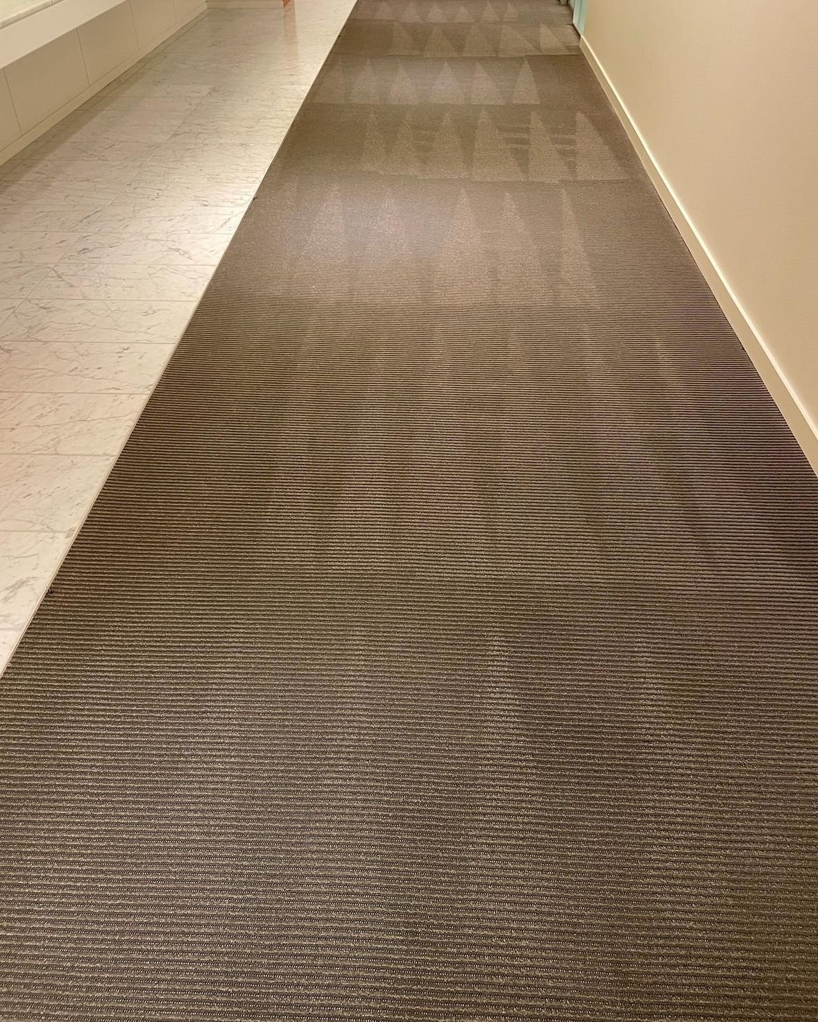 Refreshing Carpet Cleaning Services in Arlington, VA