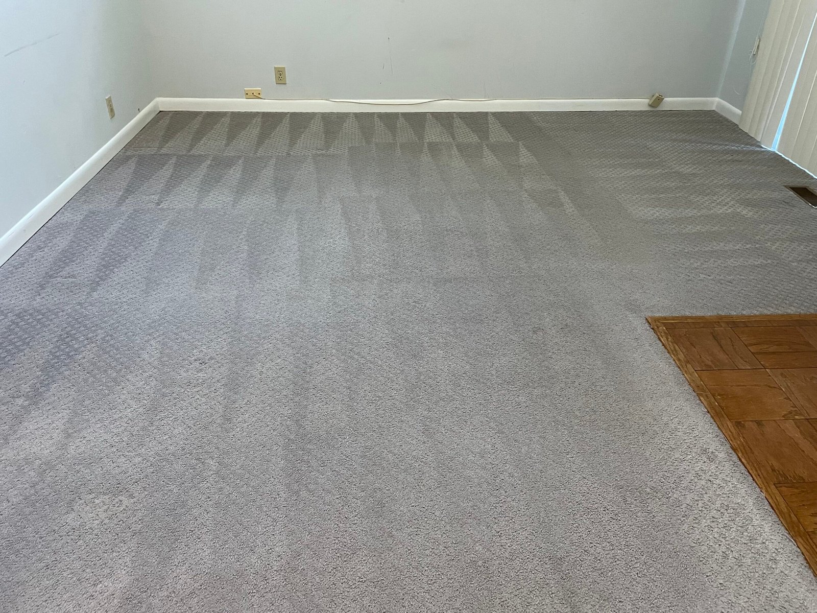 Refreshing Carpet Cleaning Services in Arlington, VA