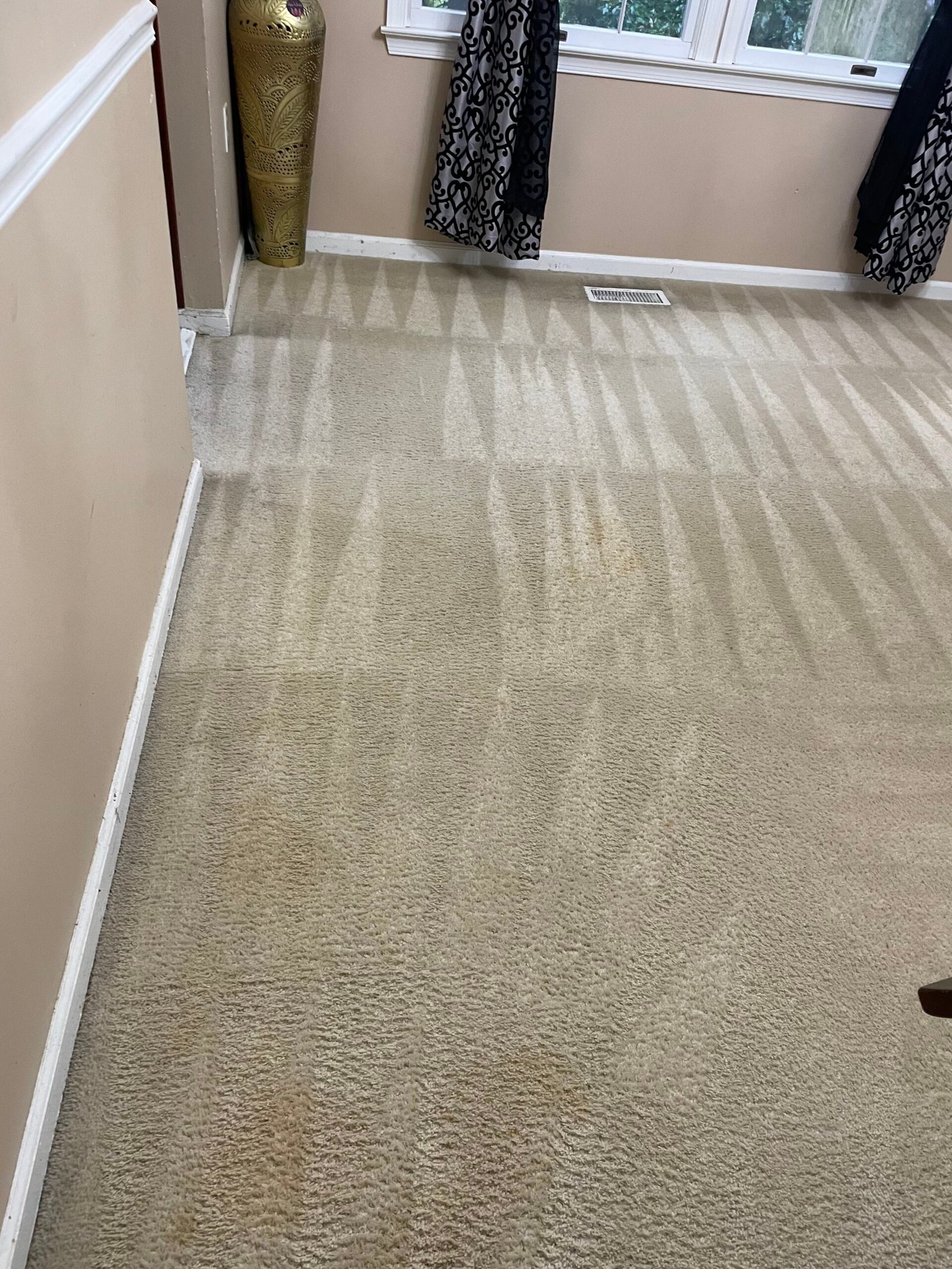 Refreshing Carpet Cleaning Services in Arlington, VA