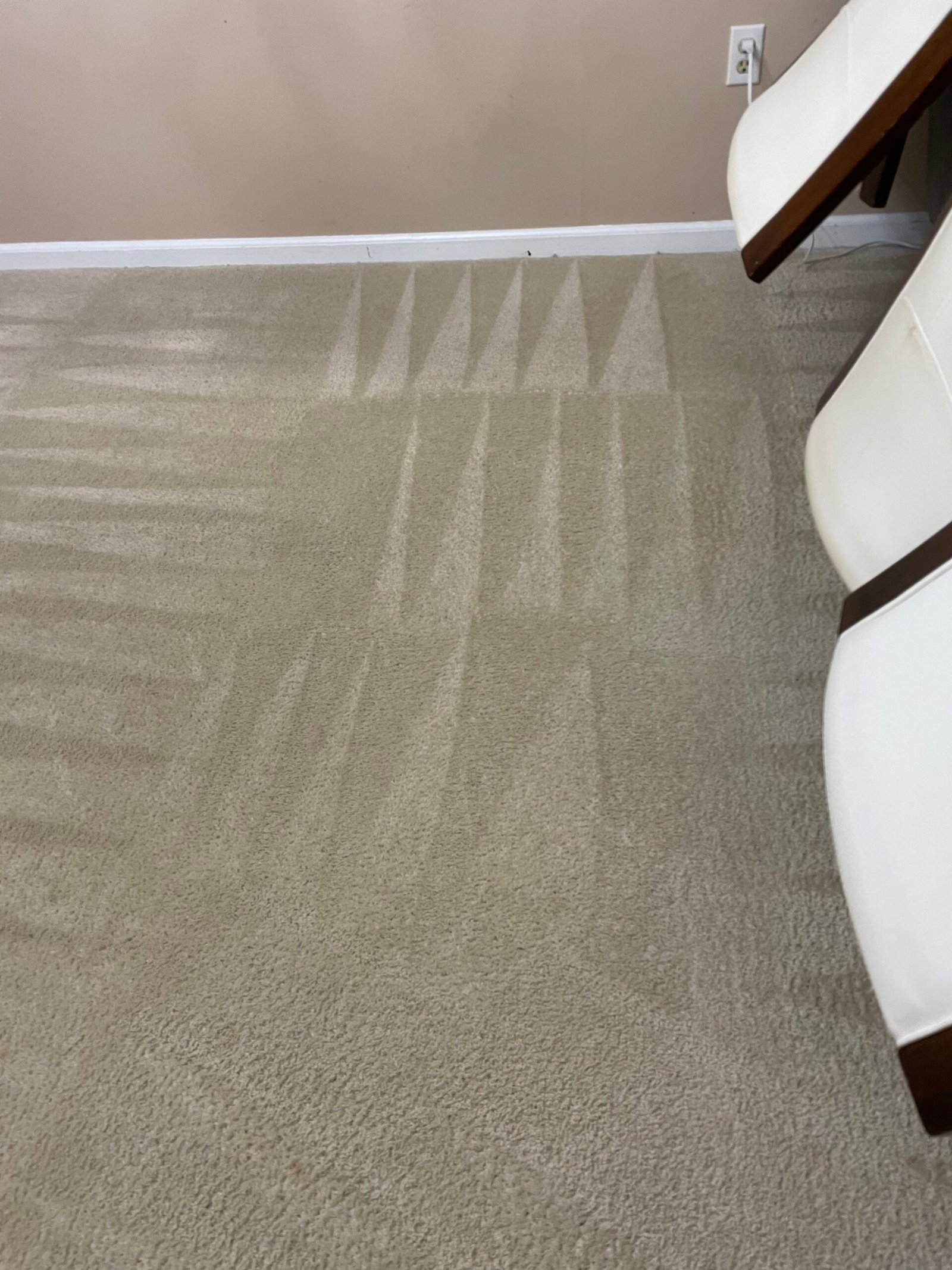 Refreshing Carpet Cleaning Services in Arlington, VA