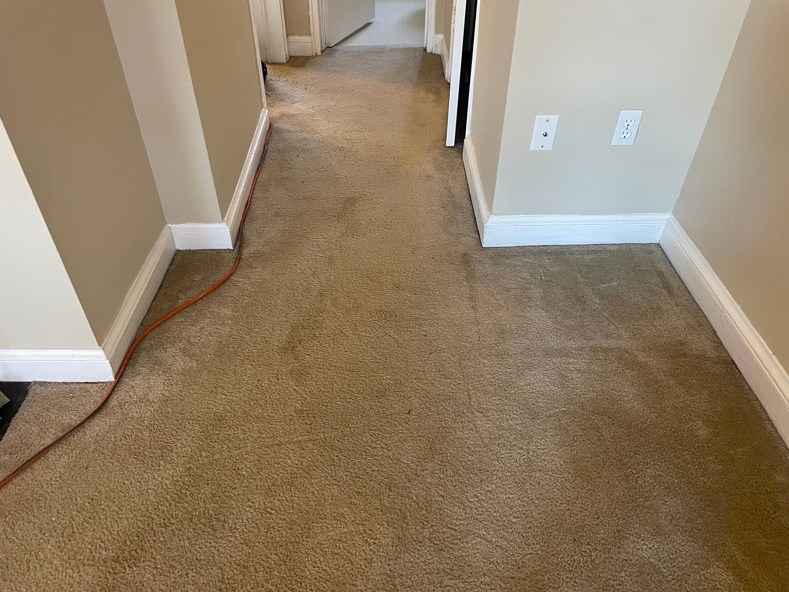 Refreshing Carpet Cleaning Services in Arlington, VA