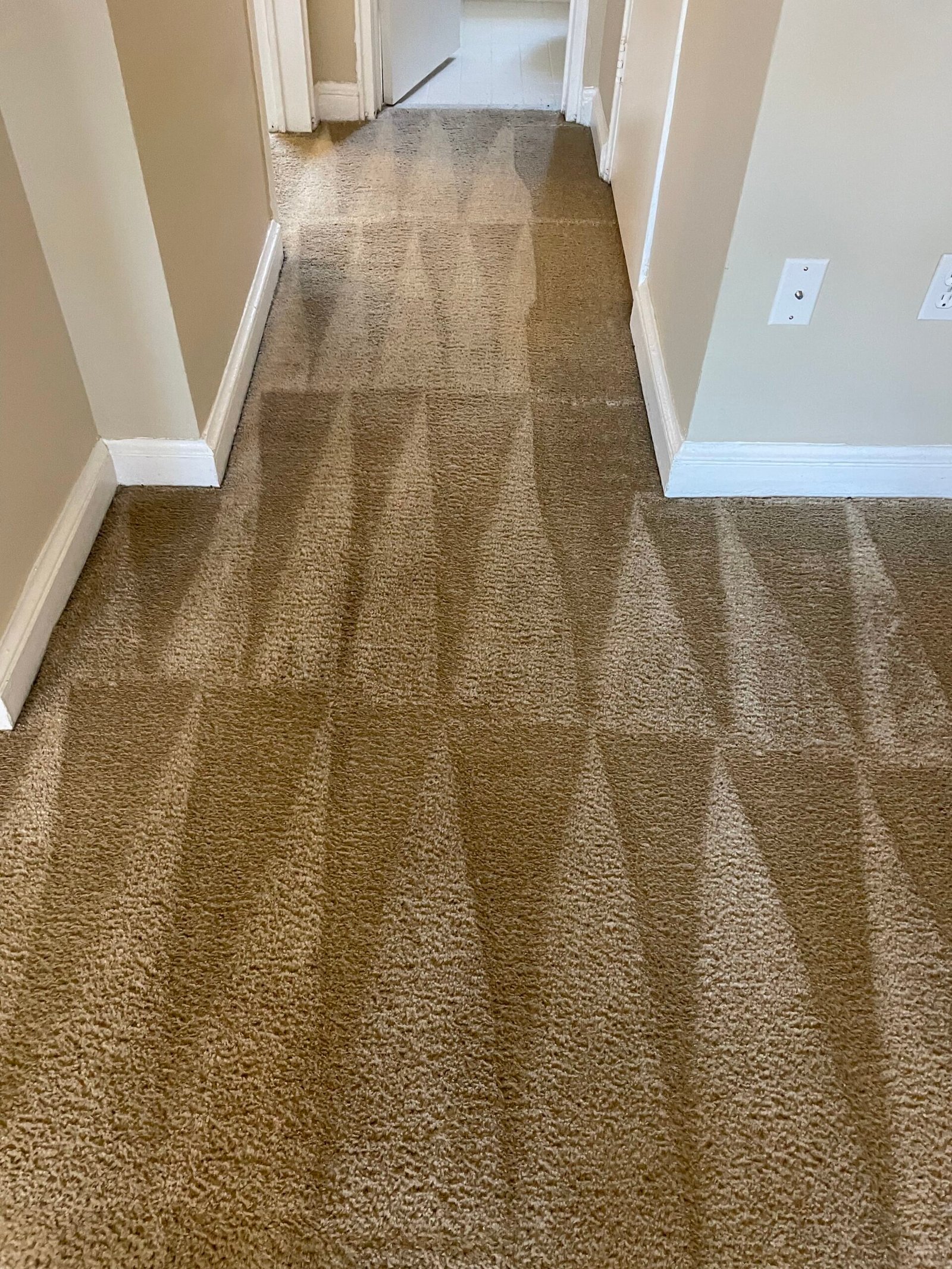 Refreshing Carpet Cleaning Services in Arlington, VA