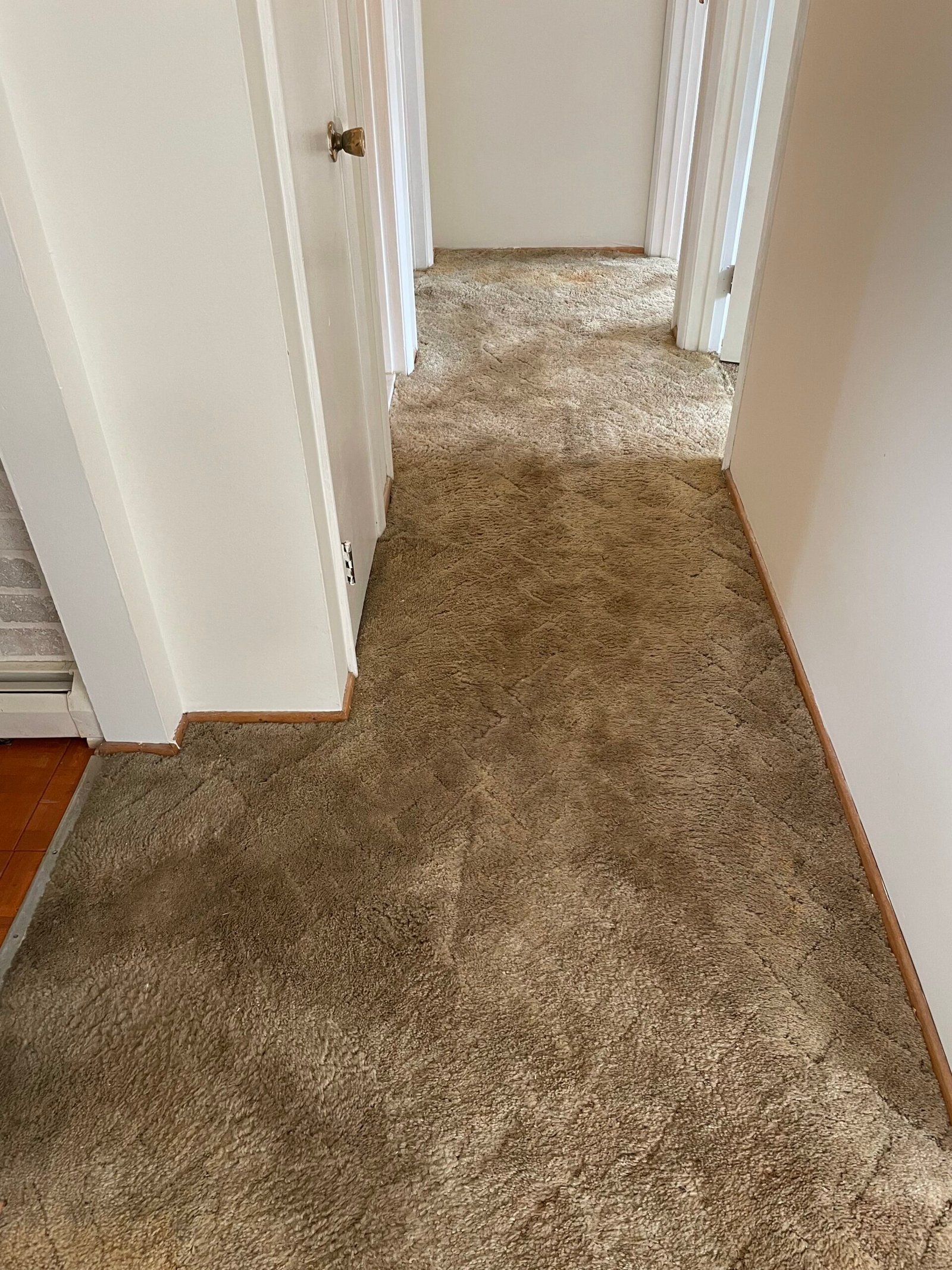 Refreshing Carpet Cleaning Services in Arlington, VA