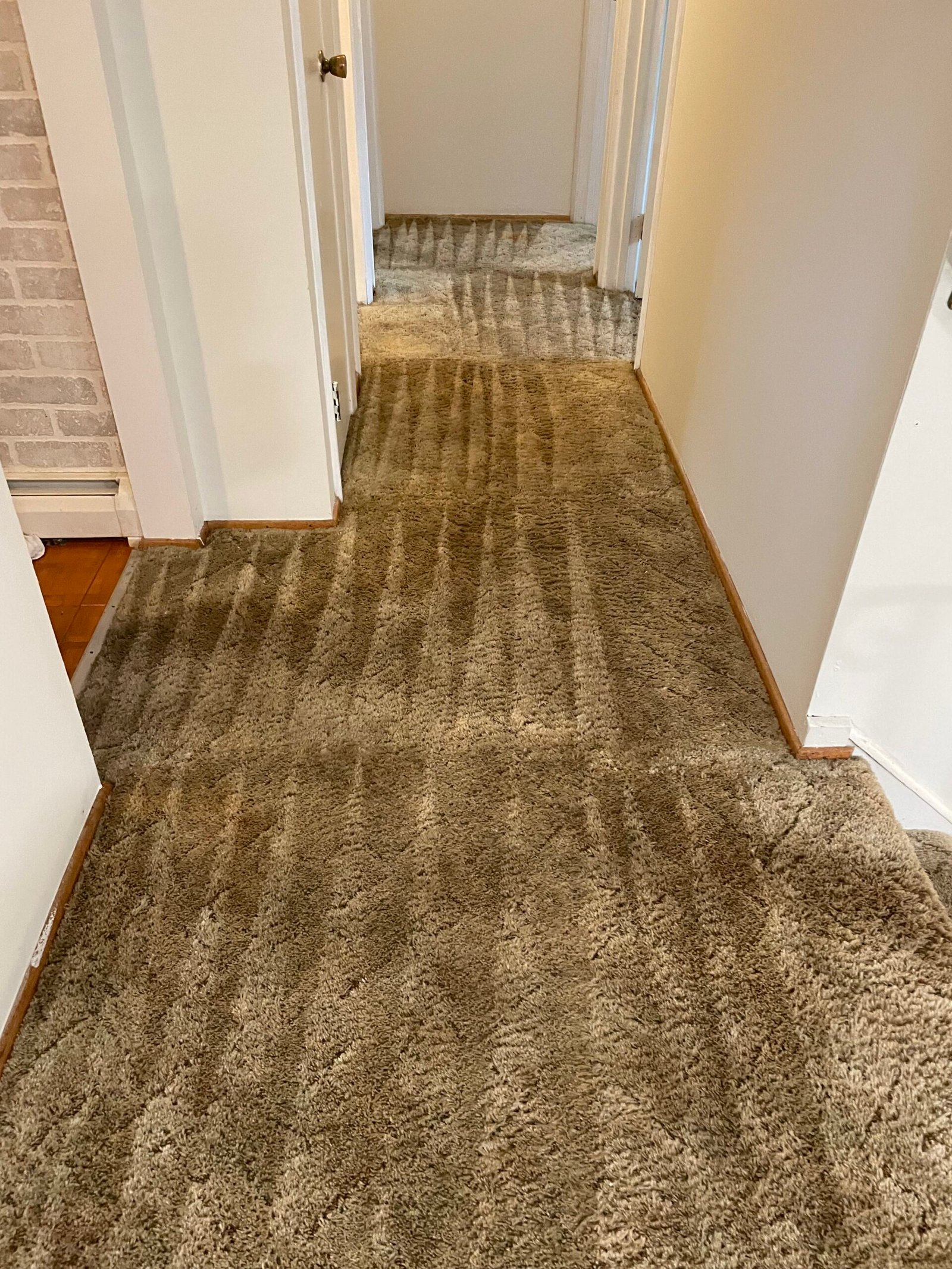 Refreshing Carpet Cleaning Services in Arlington, VA