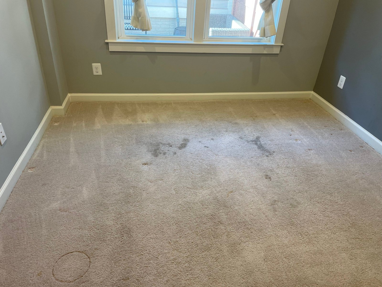 Refreshing Carpet Cleaning Services in Arlington, VA