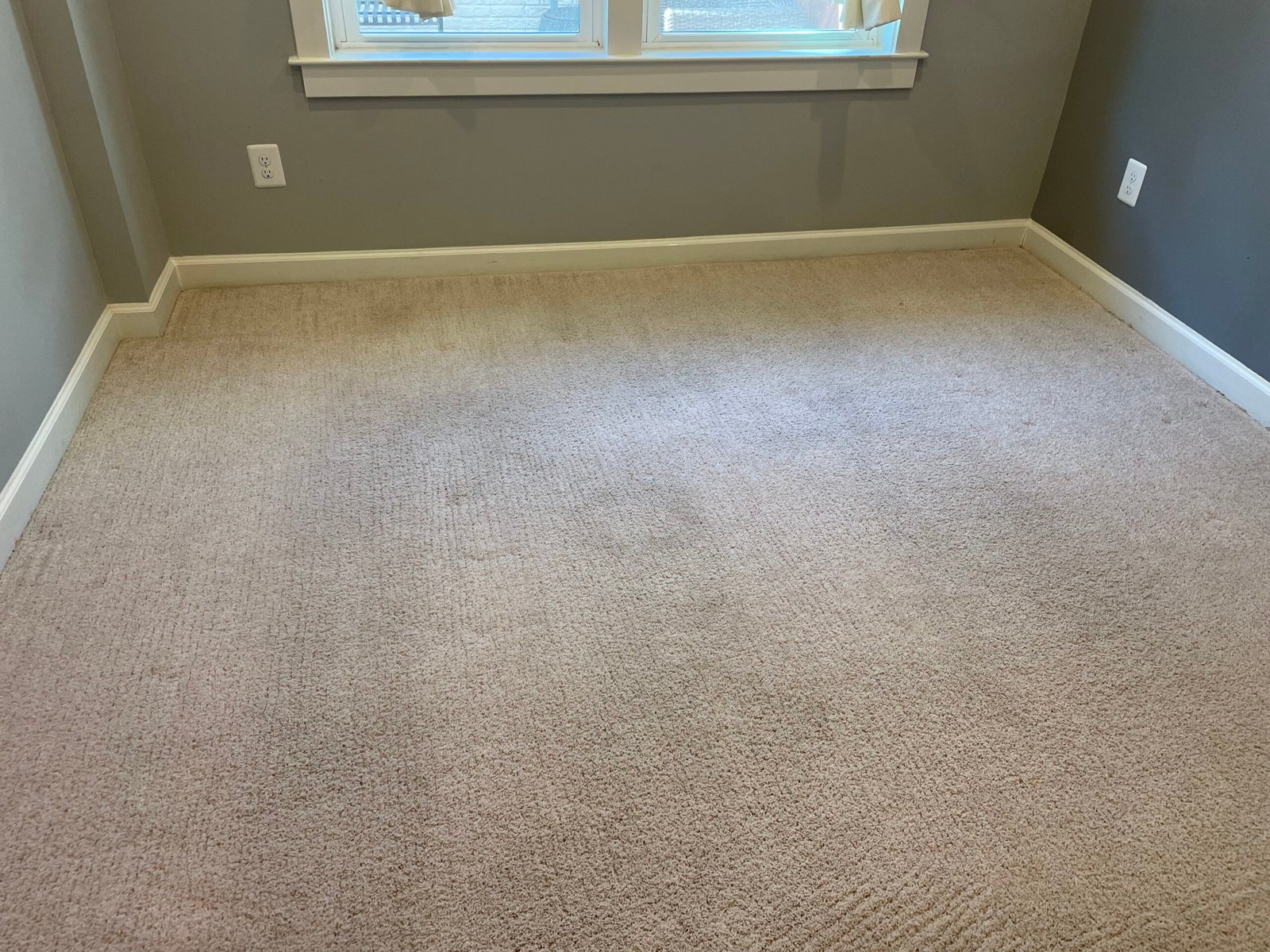 Refreshing Carpet Cleaning Services in Arlington, VA